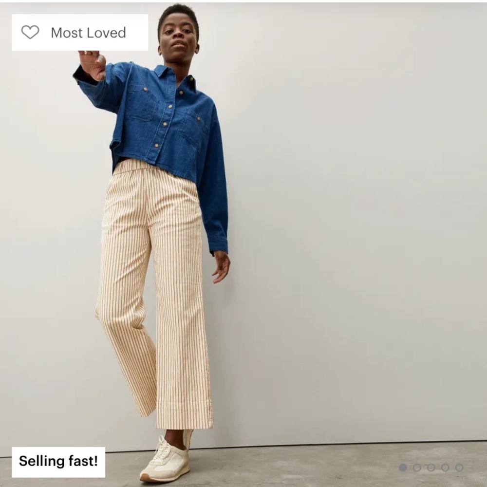 🌿Everlane Striped The Easy Pant
